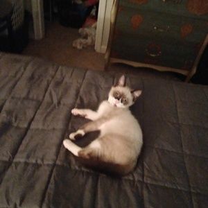 Meet your Posher, Lisa